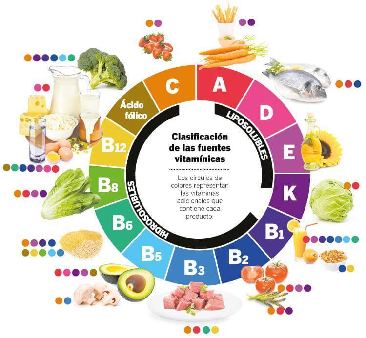 Vitaminas Hidrosolubles Y Liposolubles | Mind Map