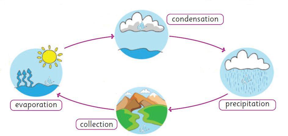 Water Cycle | Mind Map