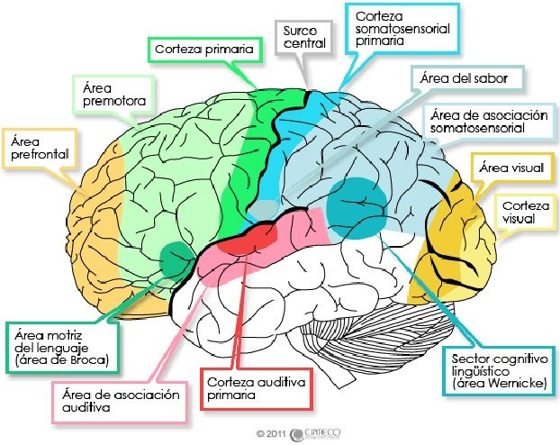 PRAXIA | Mind Map