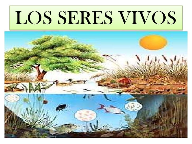 Los Seres Vivos 