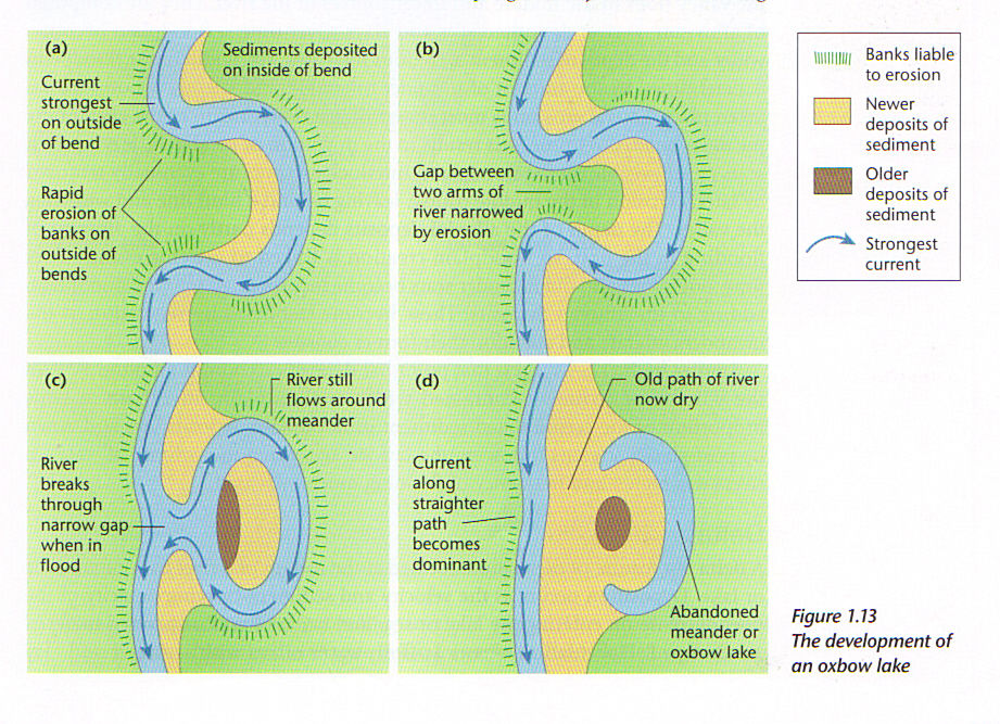 Rivers, Floods And Management: River Landforms | Mind Map