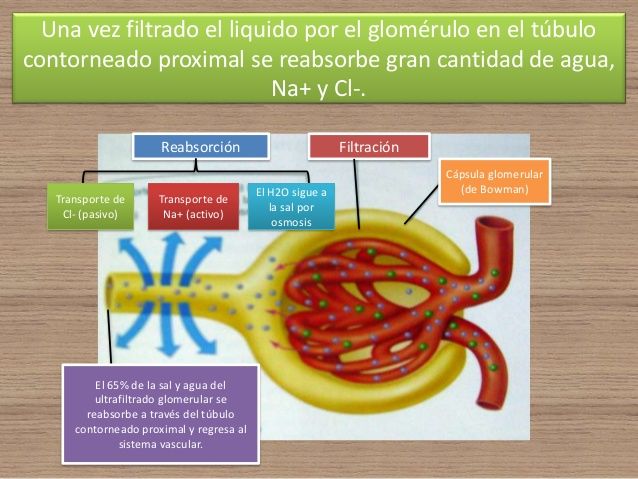 La Osmosis Mind Map