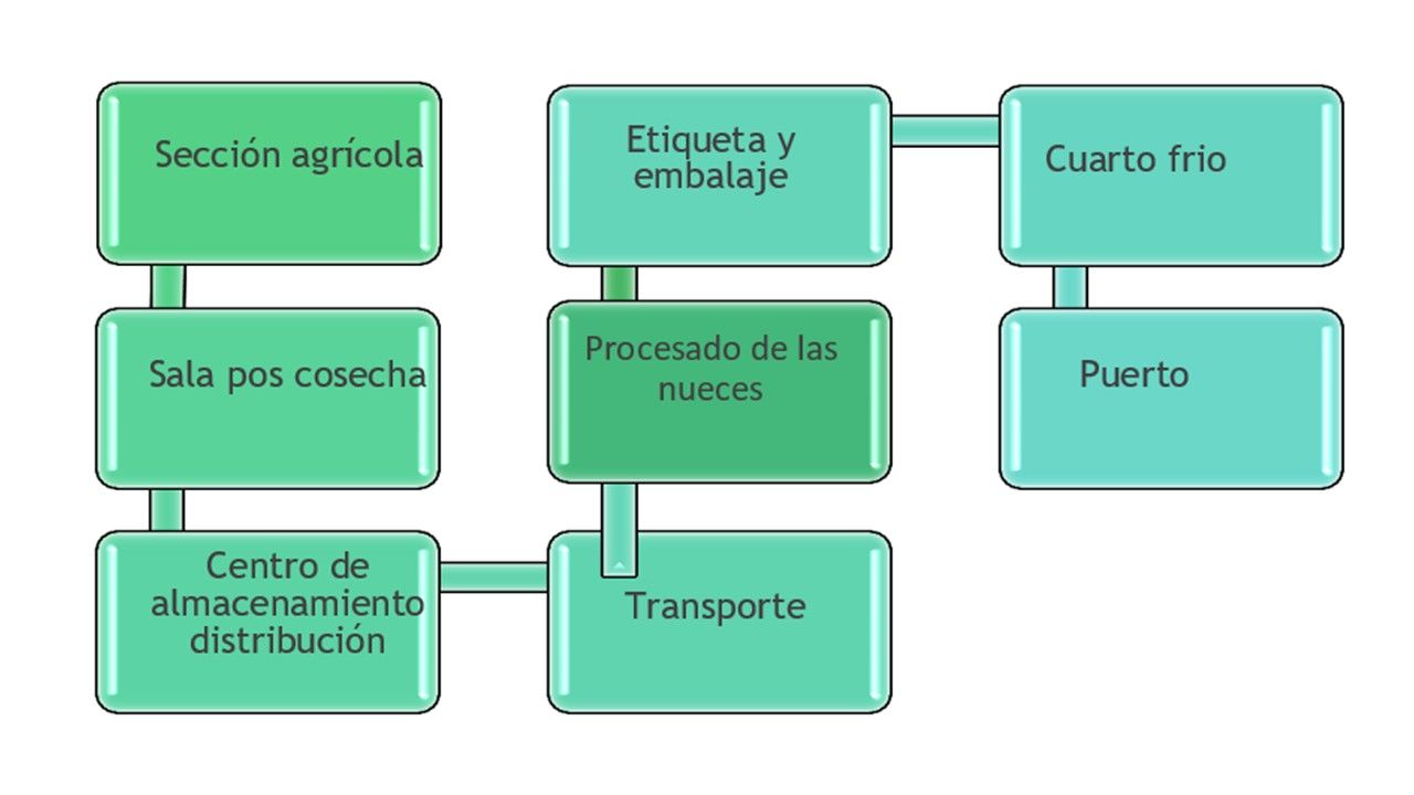 LOGÍSTICA | Mind Map