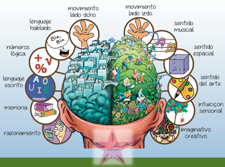 Arriba 40+ imagen hemisferios cerebrales mapa mental