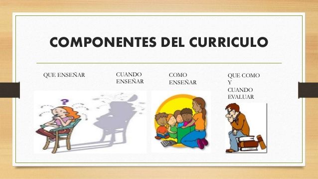 COMPONENTES DE UN DISEÑO CURRICULAR ASIG 12 | Mind Map