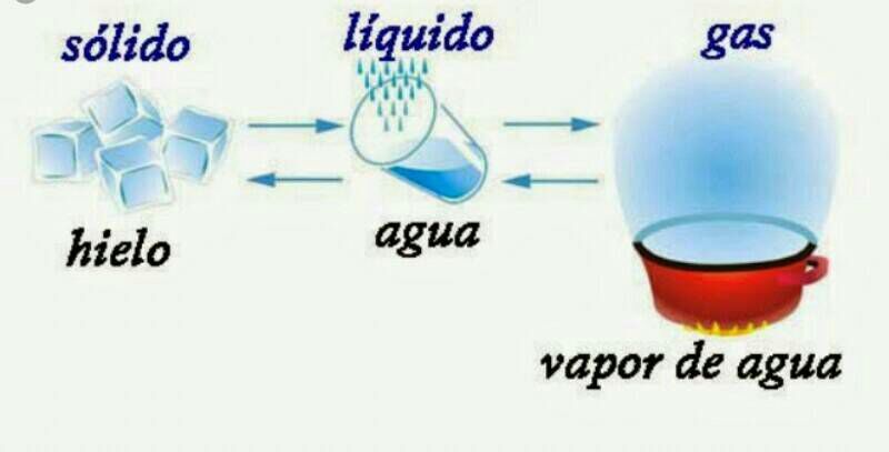 Papel Da Agua | Mind Map