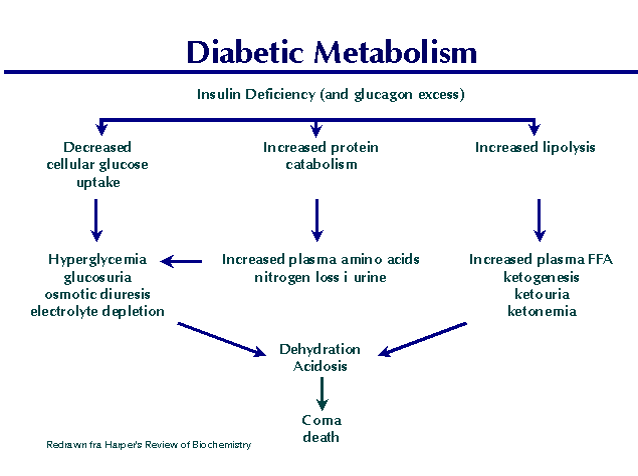 Diabetes Mellitus | Mind Map