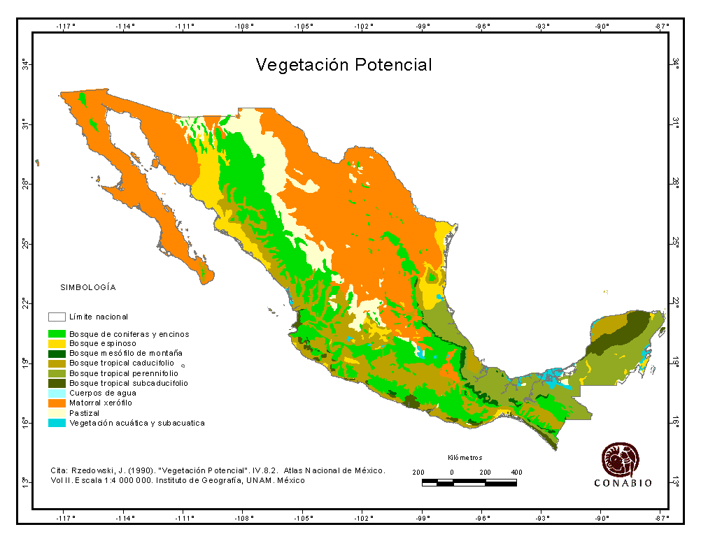 Vegetacion En Mexico Mind Map 5505