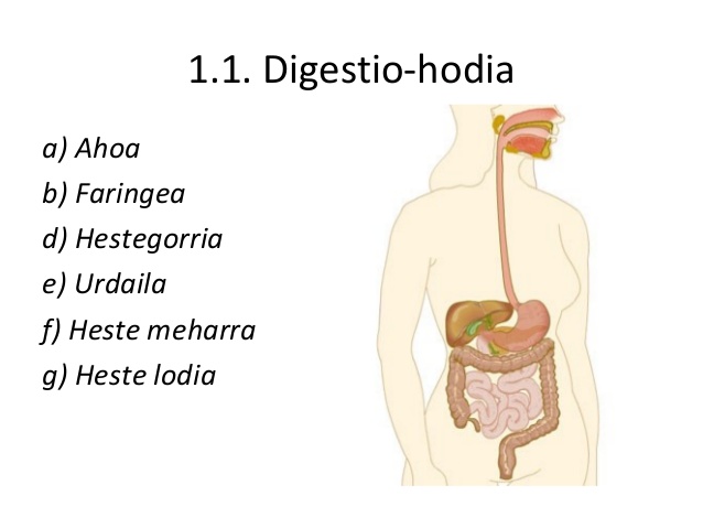 DIGESTIO HODIA