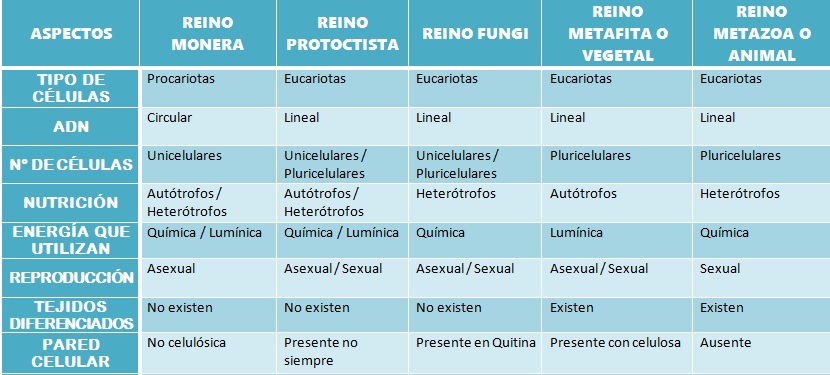 Resultado de imagen para cuadros comparativos de los reinos de la naturaleza