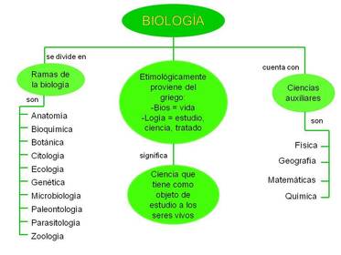 BIOLOGIA | Slide Set