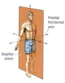 PRACTICA DE BIOLOGIA | Slide Set