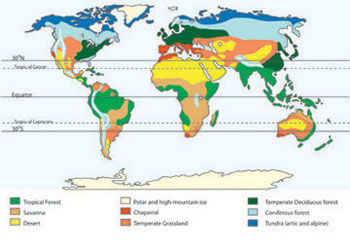 Biomes | Slide Set