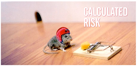 Calculated Risk Powerpoint 