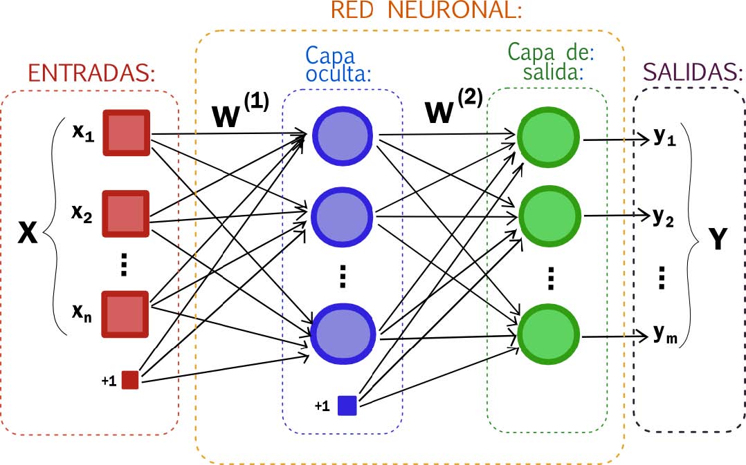 Como funciona una red neuronal